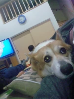 120317_214939.jpg