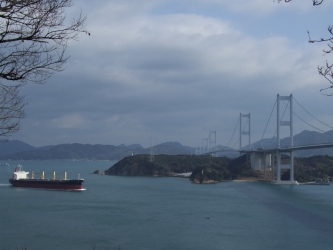 h2512474.jpg