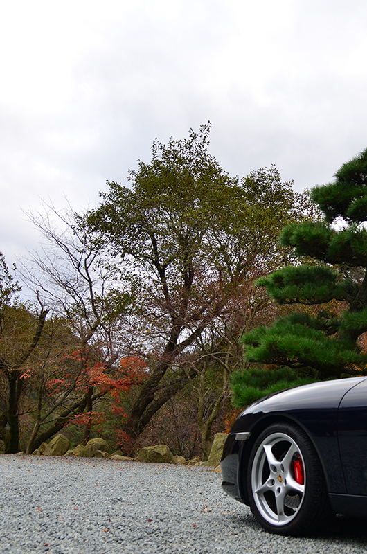 DSC_1076.jpg