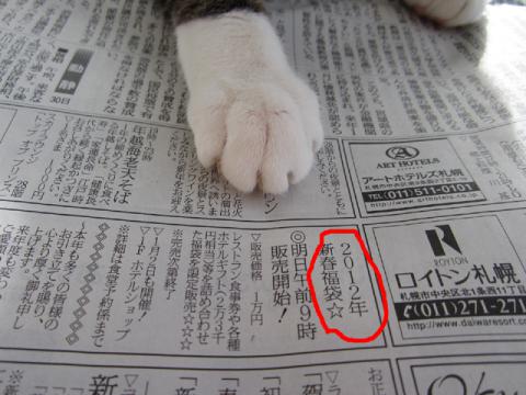 skk07.jpg