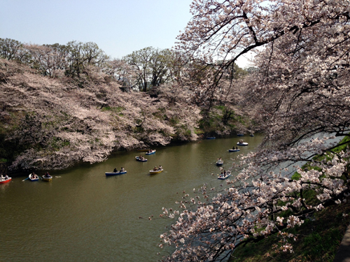 130322cgf.jpg