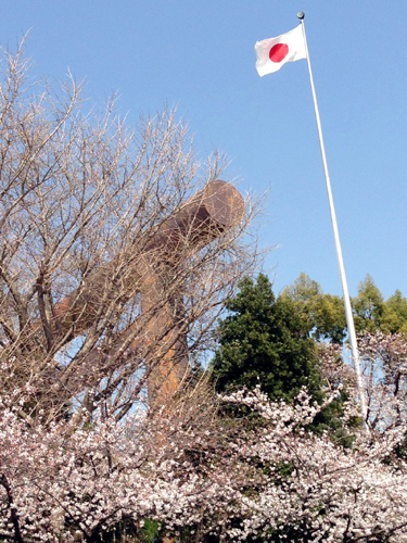130322ykh0001.jpg