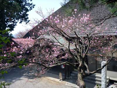 P1040844.jpg