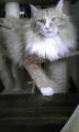 106_20130702105734.jpg
