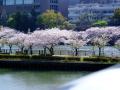 1_20130407210558.jpg