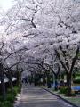 7_20130407210825.jpg