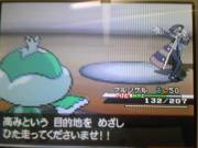 1009スーパーシングル6