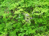 IMG_0164-1