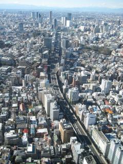 東京シティービュー
