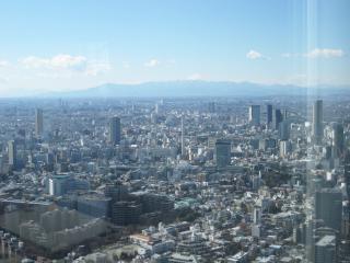 東京シティービュー