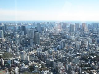 東京シティービュー