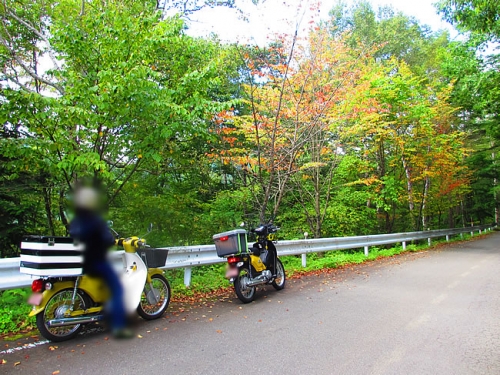 十石峠頂上付近は紅葉が始まっています。秋だねー!