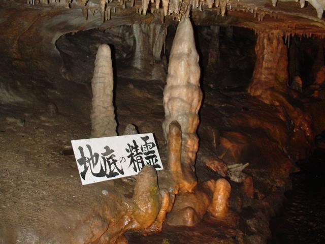 妖精発見