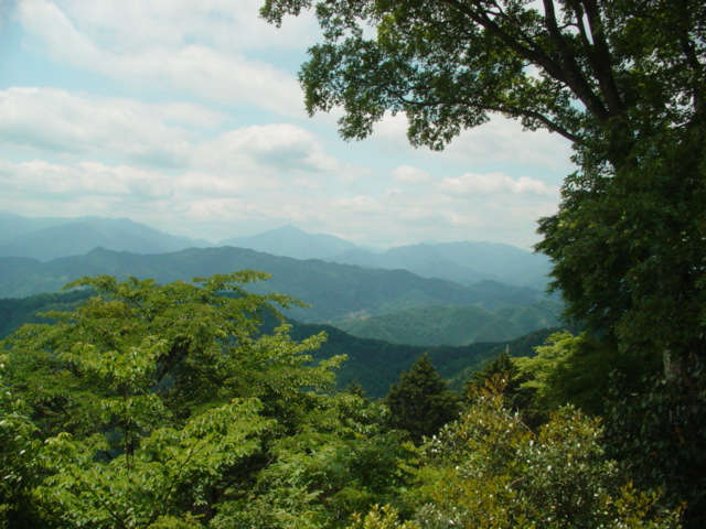 高尾山1