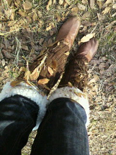 2011-01-23 23:25:14