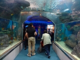 DSC02653.jpg