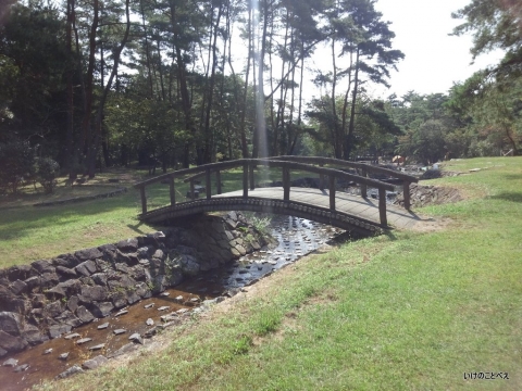 砂川公園 橋