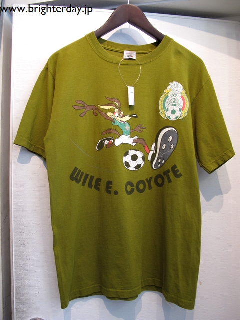 williecoyote001.jpg