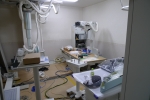 L1020368.jpg
