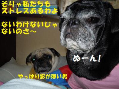 文太&陸