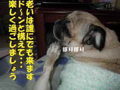 文太&陸
