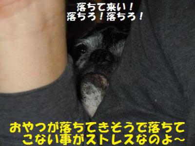 文太&陸