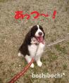 130616あつい