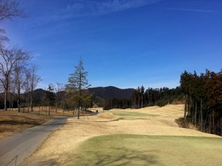 1302081.jpg