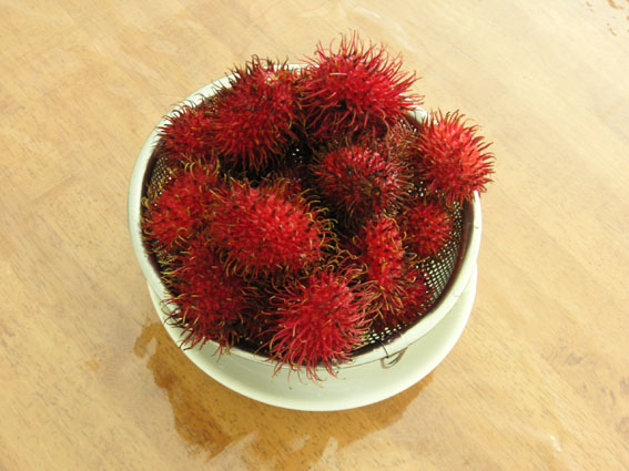 rambutan_1