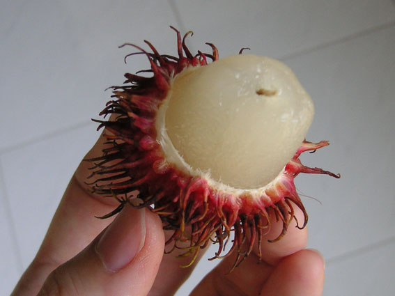 rambutan_2
