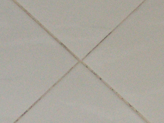 sponge_1