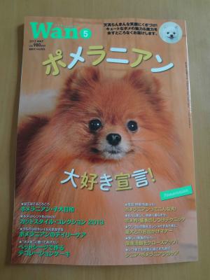 DSC01164-1.jpg