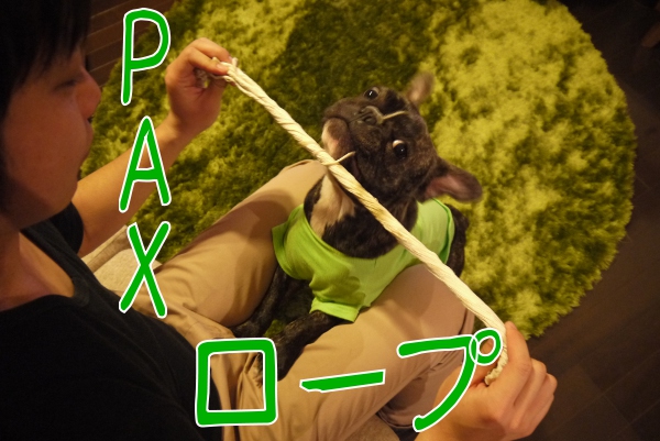 PAXロープ