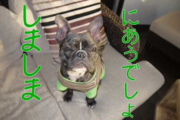 さくらの服1