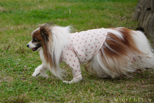2011-0010-19-7.jpg