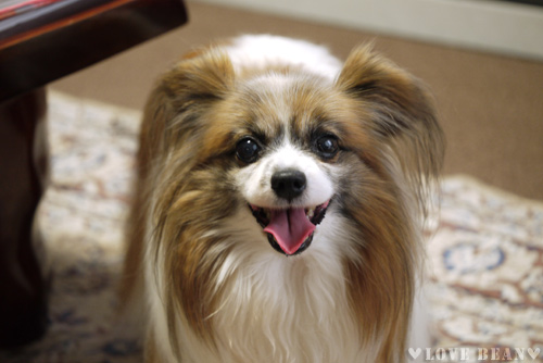 2011-0011-24-4.jpg