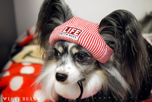 2011-0011-24-6.jpg