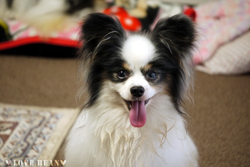 2011-0011-24-9.jpg