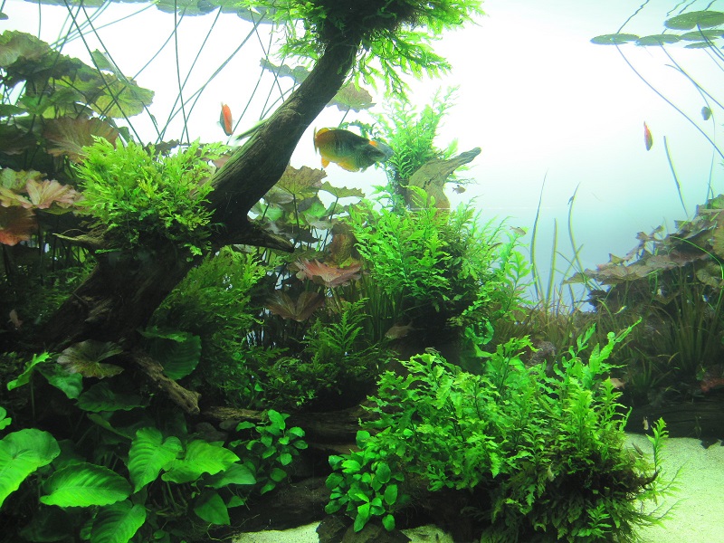 20140915003.jpg