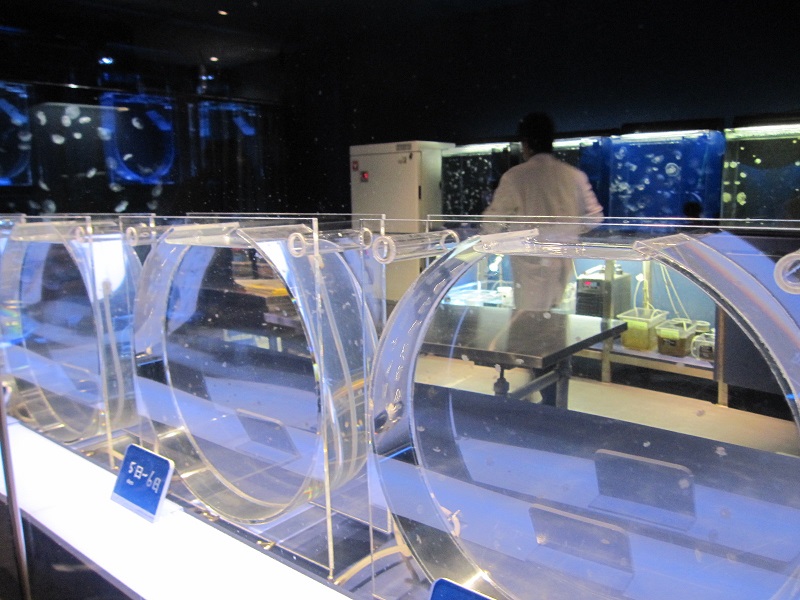 20140915004.jpg