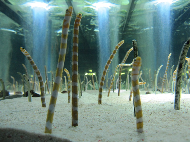 20140915005.jpg