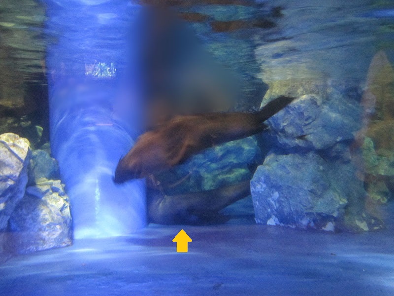 20140915015.jpg
