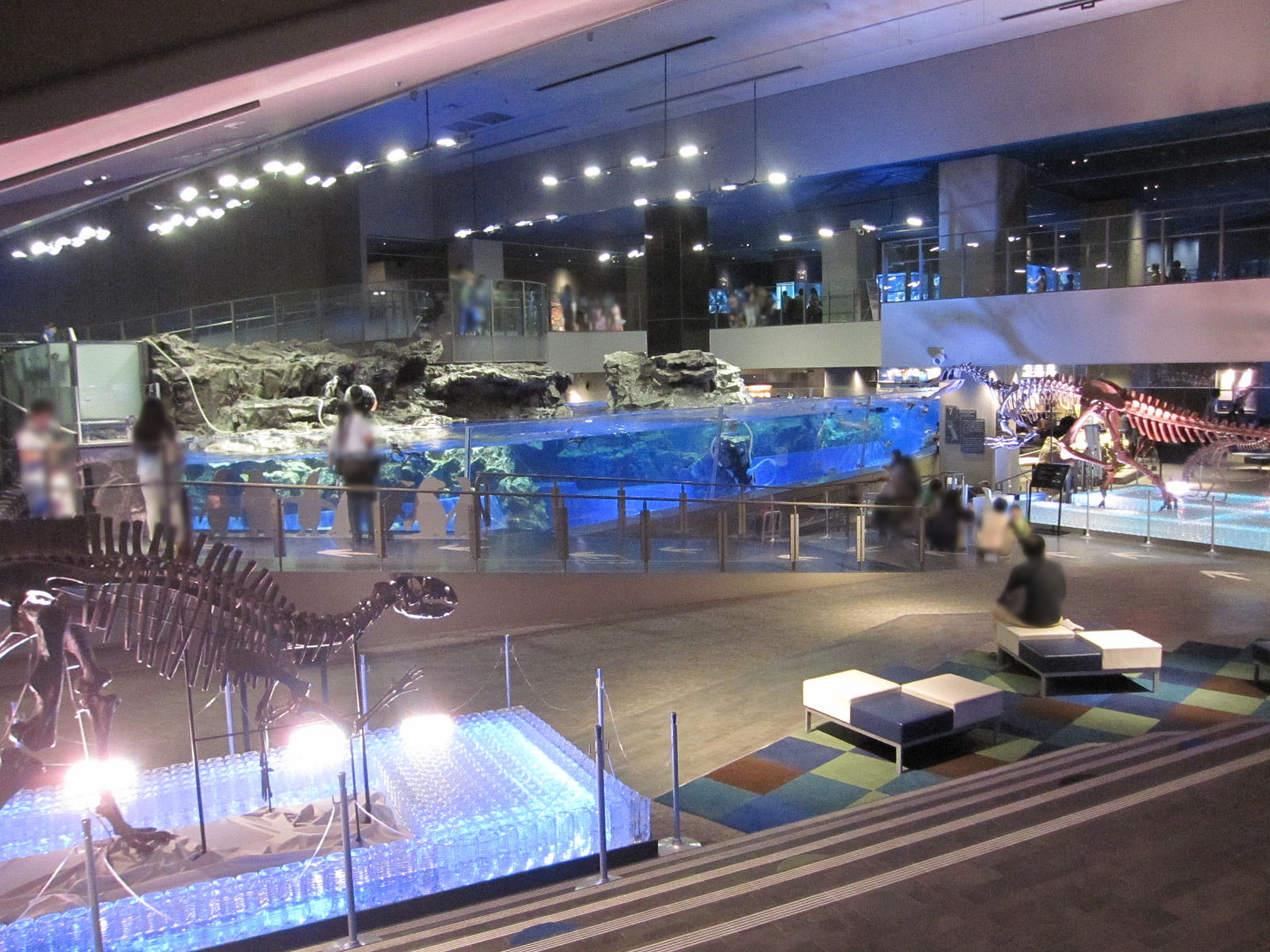 20140915016.jpg