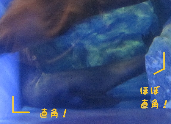 20140915017.jpg
