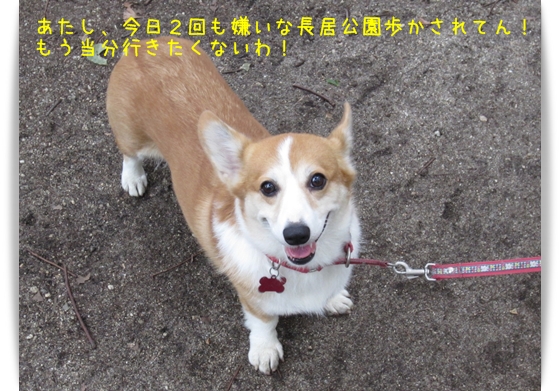えらい目におうたわ えらい目におうたわ