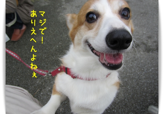 マジで!ありえへんよね。 マジで!ありえへんよね。