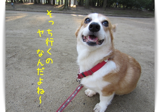 そっちはヤです そっちはヤです