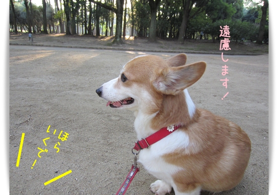 せっかくですが遠慮します!! 遠慮します