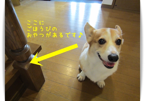ここにおやつが・・