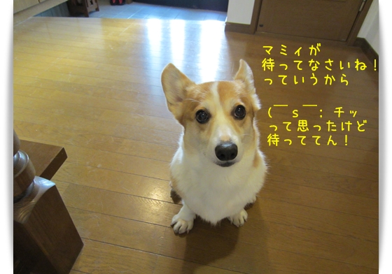 ( ̄s ̄; チッ